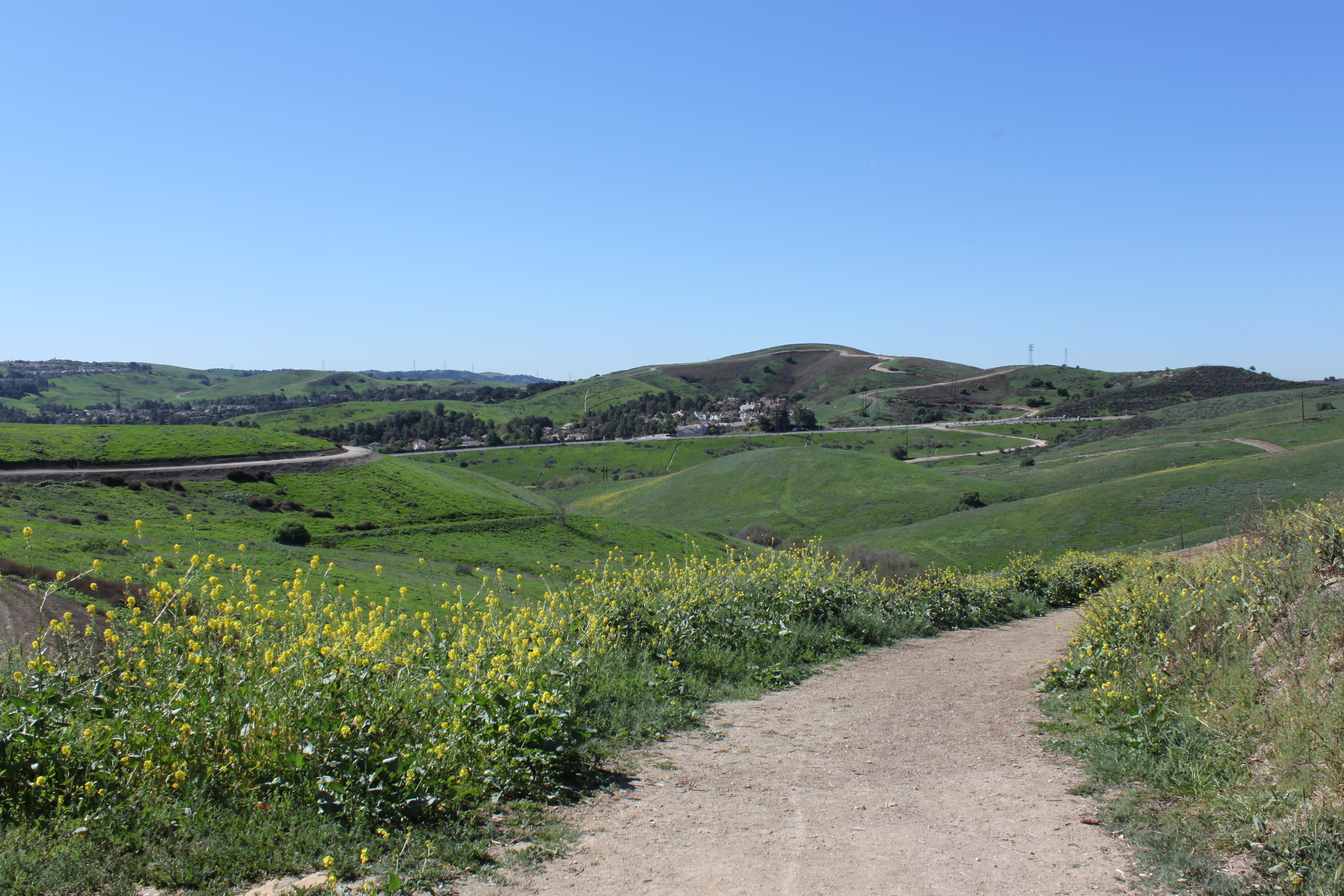 Green Rolling Hills Along the La Sierra Trail