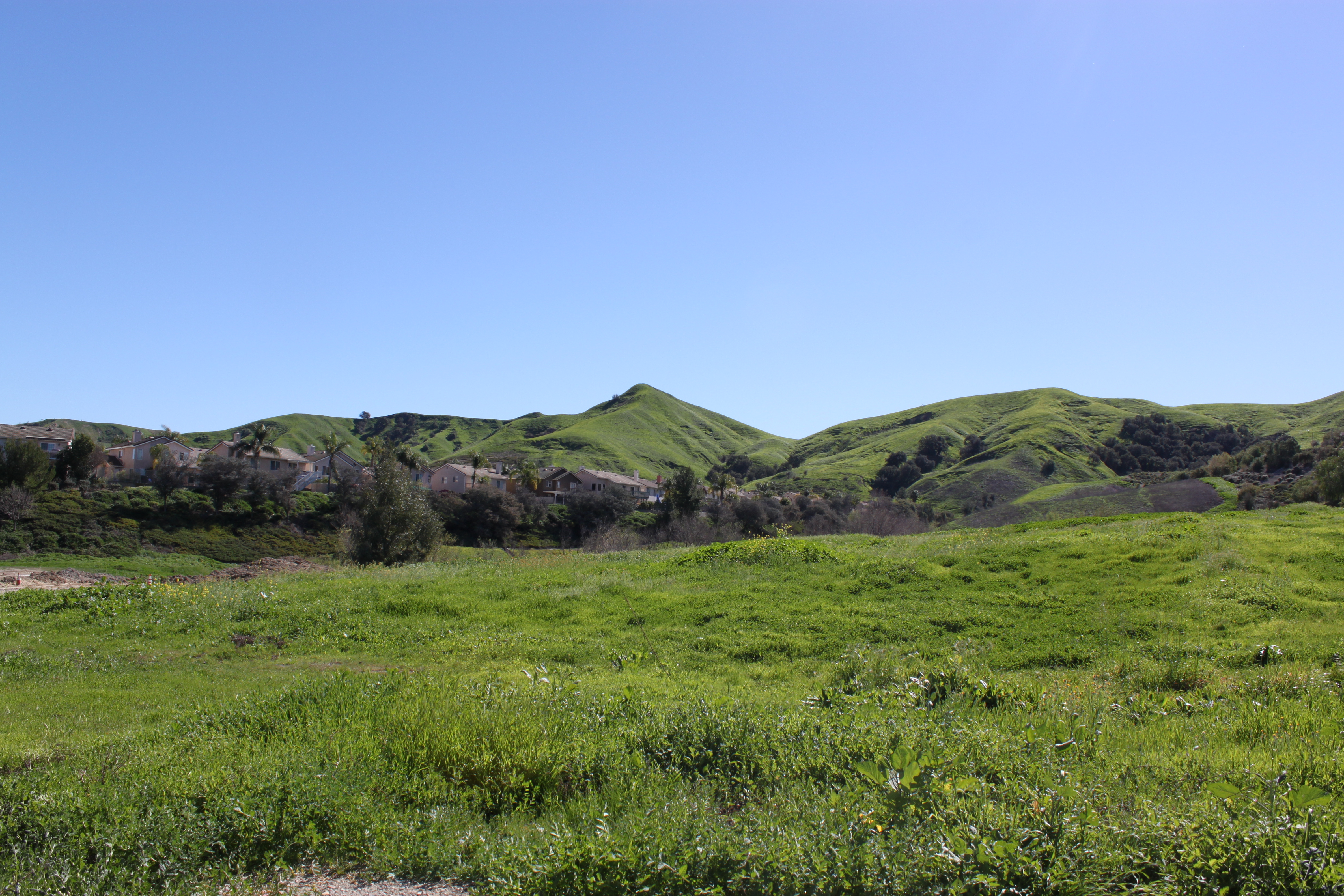 View From La Sierra Trail in the Spring