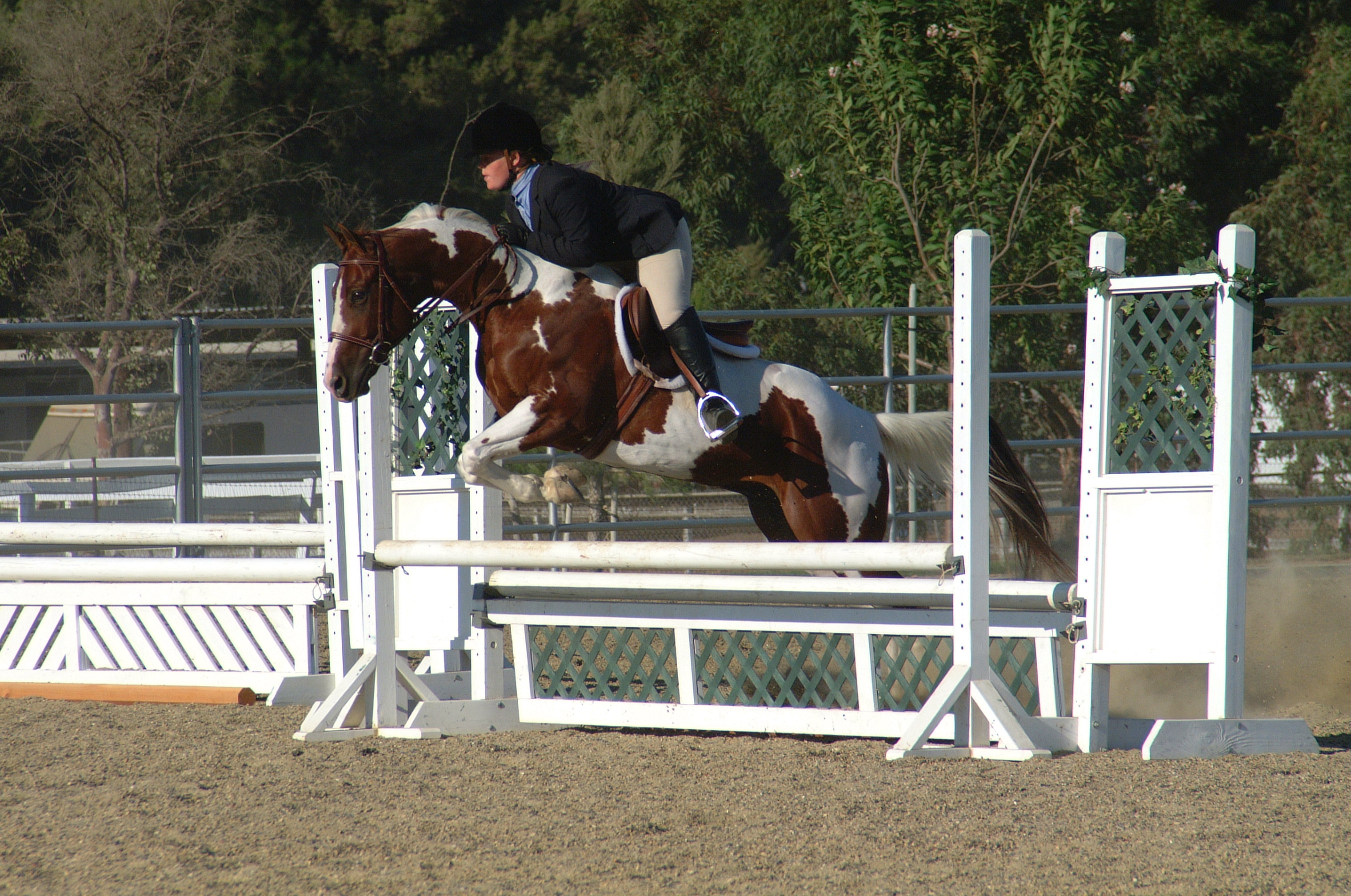 Photo taken during a competition held at the McCoy Equestrian Center 